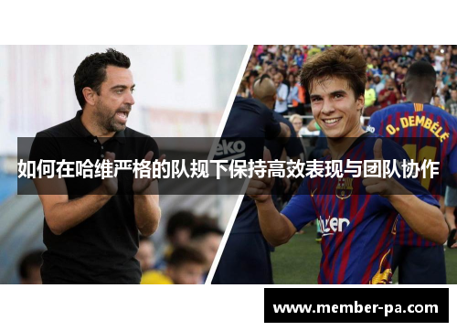 如何在哈维严格的队规下保持高效表现与团队协作