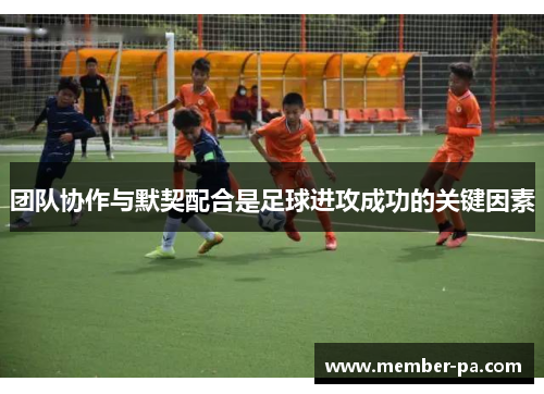 团队协作与默契配合是足球进攻成功的关键因素