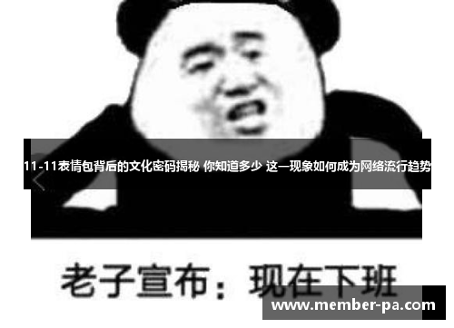 11-11表情包背后的文化密码揭秘 你知道多少 这一现象如何成为网络流行趋势