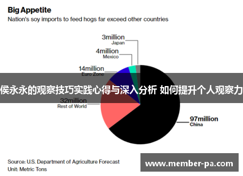 侯永永的观察技巧实践心得与深入分析 如何提升个人观察力