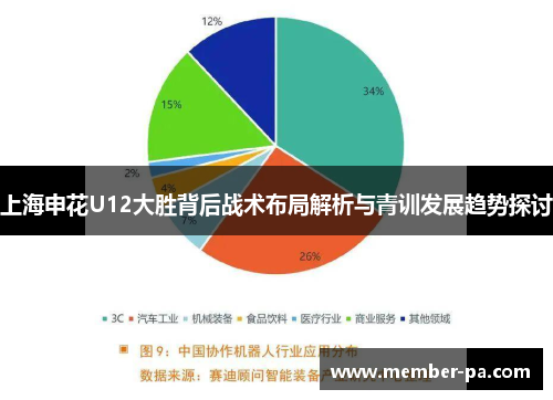上海申花U12大胜背后战术布局解析与青训发展趋势探讨