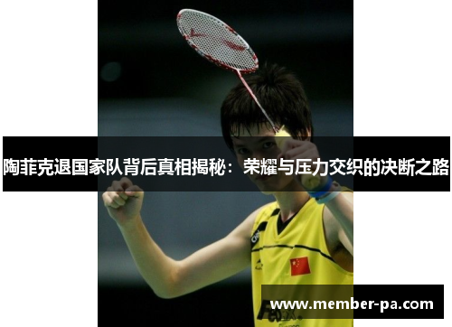 陶菲克退国家队背后真相揭秘：荣耀与压力交织的决断之路