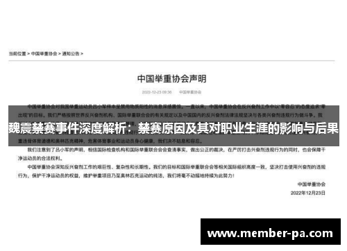 魏震禁赛事件深度解析:禁赛原因及其对职业生涯的影响与后果 魏震禁赛事件深度解析:禁赛原因及其对职业生涯的影响与后果
