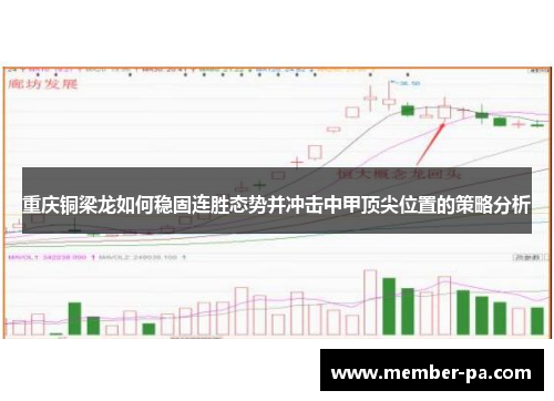 重庆铜梁龙如何稳固连胜态势并冲击中甲顶尖位置的策略分析 重庆铜梁龙如何稳固连胜态势并冲击中甲顶尖位置的策略分析