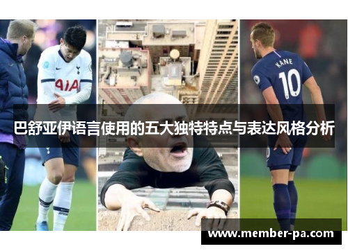 巴舒亚伊语言使用的五大独特特点与表达风格分析