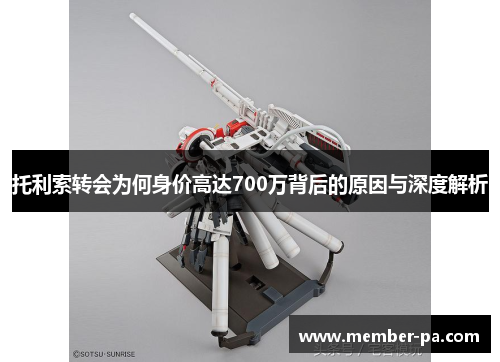 托利索转会为何身价高达700万背后的原因与深度解析 托利索转会为何身价高达700万背后的原因与深度解析