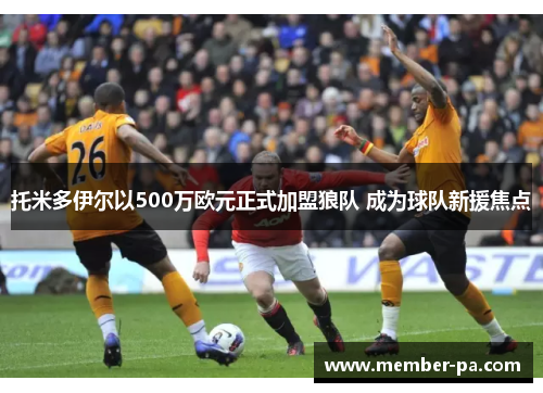 托米多伊尔以500万欧元正式加盟狼队 成为球队新援焦点
