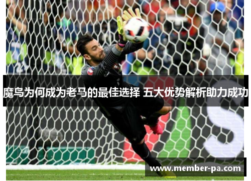 魔鸟为何成为老马的最佳选择 五大优势解析助力成功