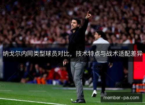 纳戈尔内同类型球员对比，技术特点与战术适配差异